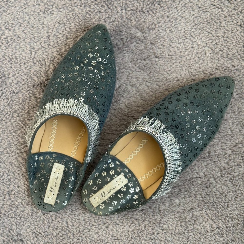 Llani Slides